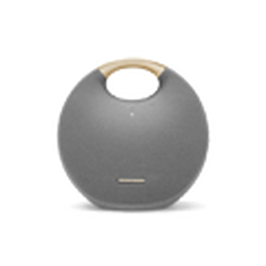 Portable & Home Speakers